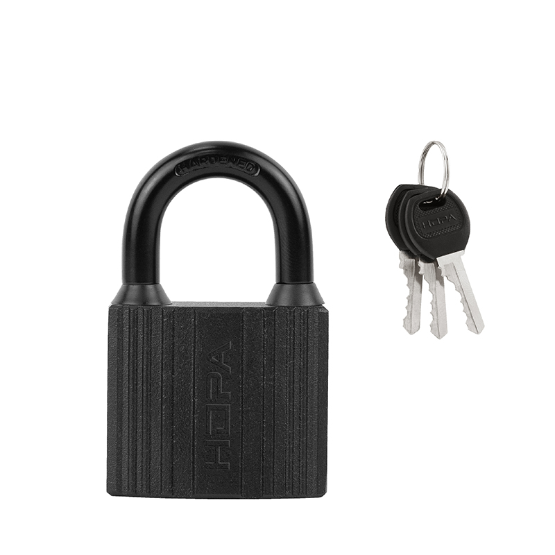 Замок навесной ЗН-100 цвет Черный Нора-М